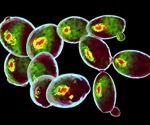 What is Multicolor Flow Cytometry?