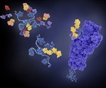 Anti-Parkin Antibody Uses in Research