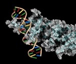 KZFPs play a key role in the regulation of human genome