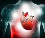 Birth season and heart disease risk – an association?