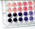 Using Assay Kits and Dyes to Advance Cell Biology Research