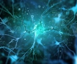 A Preclinical Solution to Studying Neurological Diseases