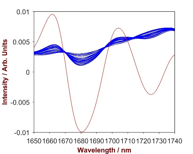 2nd derivative spectra of 16 Carbopol-shampoo mixtures with Carbopol concentration differing from 0.2-2.5% (blue). The overlay with pure Carbopol (red) identifies the significant wavelength region of 1650 – 1740 nm