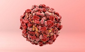 Cancer cell