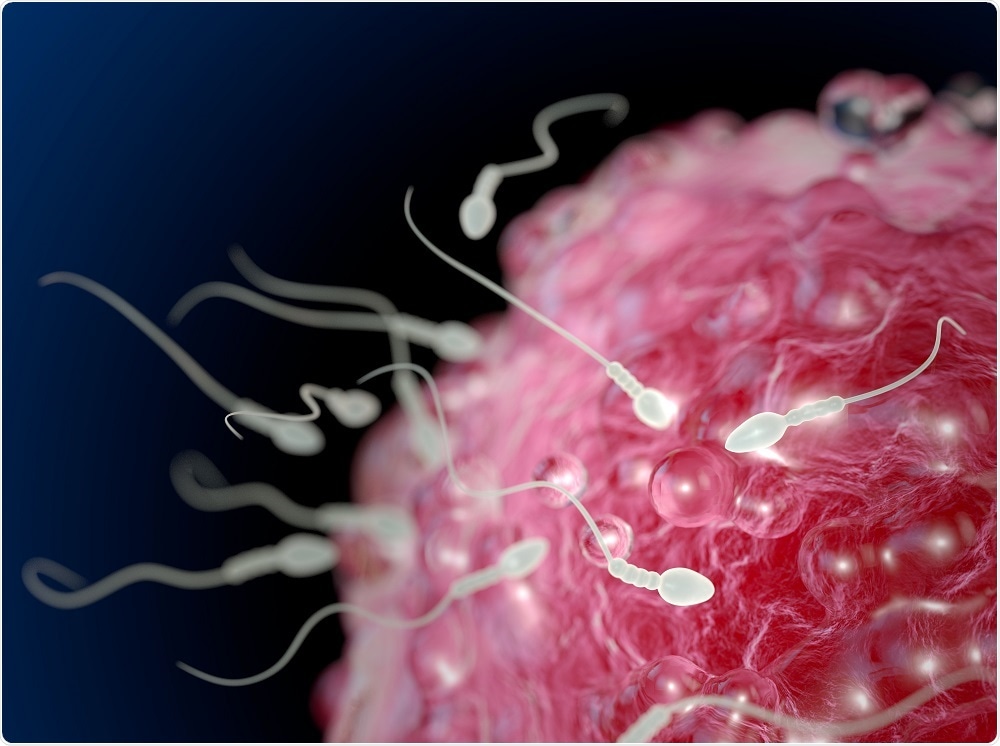 Strong sperm reach the egg, whilst weak sperm are blocked by obstacles