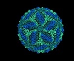 New technology can detect any virus that poses a threat to humans