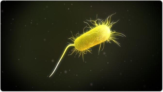 Pseudomonas bacterium - illustration