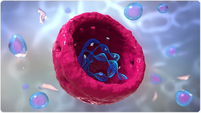 Cell showing chromatin in nucleus