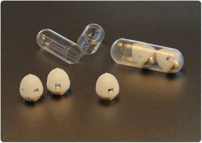 An MIT-led research team has developed a drug capsule that could be used to deliver oral doses of insulin. Image: Felice Frankel