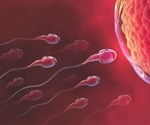 A Guide to the Use of Spermatogenesis Markers
