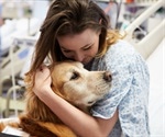 Using Therapy Dogs to Reduce Stress and Improve Emotional Well-Being in Vulnerable Individuals
