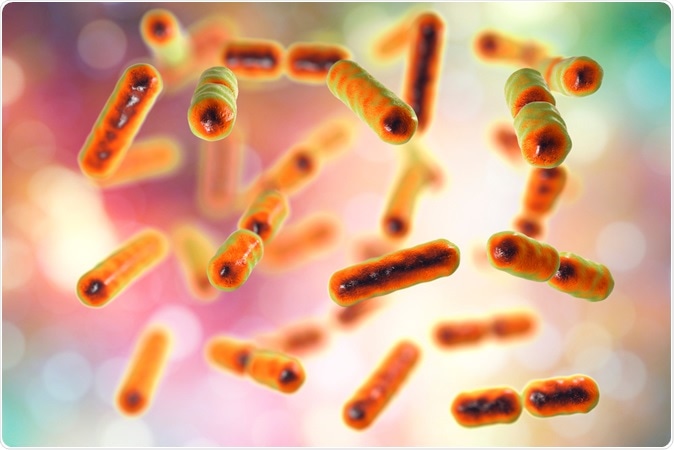 Gut microbes Coprococcus and Dialister are markedly lower among those suffering from depression, 3D illustration. Image Credit: Kateryna Kon