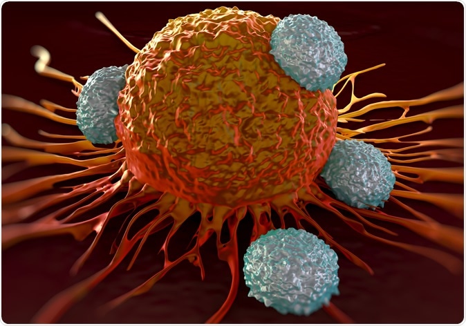 T-cells attacking cancer cell illustration. Image Credit: Shutterstock