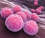 A new treatment for Chlamydia via Canadian researchers
