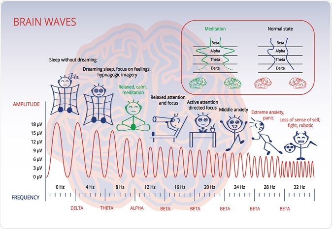 Brain waves, relation between the amplitude and frequency with person