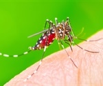 Scientists wean mosquitoes off blood with dieting drugs