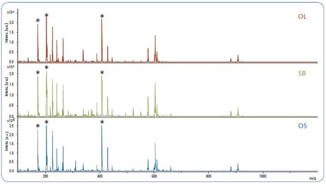 MALDI-TOF spectra of pure olive oil (OL), soybean oil (SB) and olive oil adulterated with 10% soybean oil (OS). The matrix peaks are labeled with*.
