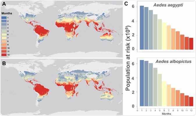 Mapping current temperature suitability for transmission. Maps of current monthly suitability based on mean temperatures using a temperature suitability threshold determined by the posterior probability that scaled R0 /> 0 is 97.5% for (a) Aedes aegypti and (b) Ae. albopictus, and (c) the number of people at risk (in billions) as a function of their months of exposure for Ae. aegypti and Ae. albopictus.