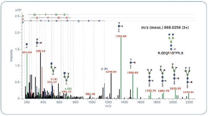 ProteinScape: Annotated glycopeptide CID spectrum.