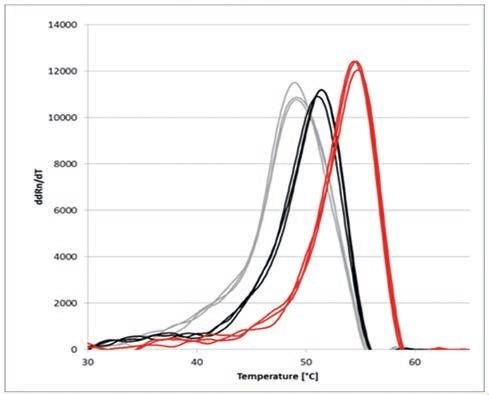 Melting curve derivatives of the thermal shift assay using SYPRO® Orange and qTOWER3 ; NaCl concentrations: 20 mM (grey), 500 mM (black) and 2 M (red)
