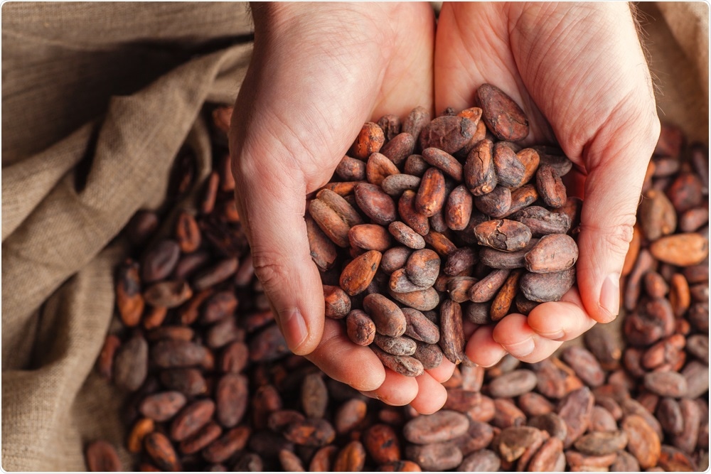 Person holding out cocoa beans