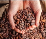 Daily cup of cocoa may reduce tiredness in multiple sclerosis