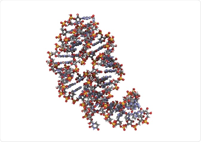 Aptamers are short chains of nucleic or amino acids that are complementary to a specific target molecule and, hence, bind only with that molecule.