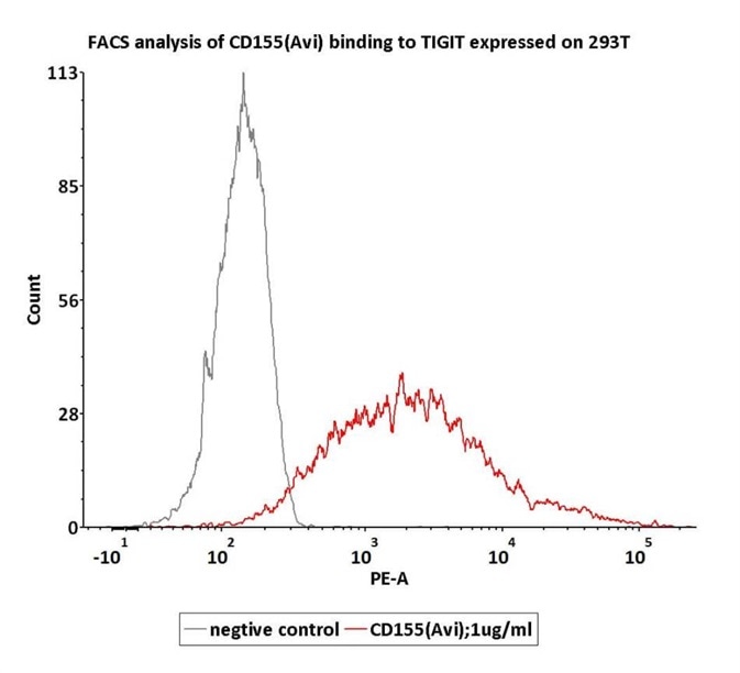 FACS assay shows that Biotinylated Human CD155, Fc Tag, Avi Tag (Cat.No.CD5-H82F6) can bind to 293T cell overexpressing human TIGIT.The concentration of CD155 is 1μg/ml (Routinely tested).