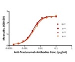 Anti-Idiotypic Antibodies Overview