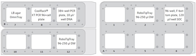 CyBio® FeliX deck layout for the automated transformation method. Here, an example of the FeliX deck layout is shown, as used in the London DNA Foundry. After the DNA addition step, the 384-well PCR plate containing the DNA is transferred to an accessible position on the automation platform, allowing for the safe removal of the plate from the platform and its subsequent storage for potential future use. After the transfer of the cells from the 96-well PCR plate to the 96-well, F-bottom SOC plate, the CoolRack® (with cell plate) can be removed from the FeliX deck to free up position 8. The empty spaces (blank) represent available positions, which allow for the simple expansion of the method to process multiple DNA/cell/LB agar plates at a time.