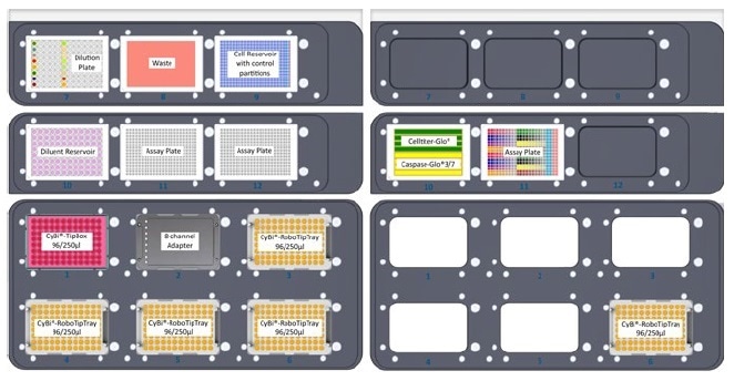 Plate layouts and cell reservoir configuration. Layouts of upper and lower decks. Note position and internal layout of cell reservoir with control partitions, the 96-well compound dilution plate, and the eight-row reagent reservoir containing Cell Titer-Glo® and Caspase-Glo® reagents.