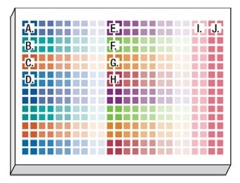Assay plate layout showing titrated compounds and controls. Using 384-well plates, we replicated the same compounds and dispense pattern in Rows A-H and Rows I-P. Key: A = bortezo-mib, B = cisplatin, C = methotrexate, D = nocodazole, E = panobinostat, F = staurosporine, G = terfenadine, H = tamoxifen, I = 1 % DMSO vehicle control, J = no-cell control.