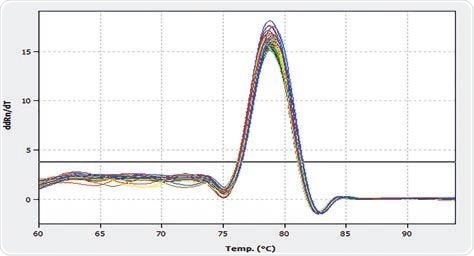 Melting peaks of the PCR amplicons result in a melting temperature of 78.80 °C with a SD of 0.13 °C.
