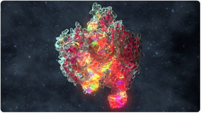 CRISPR Cas 9 Molecules - Illustration Credit: Alpha Tauri 3D Graphics / Shutterstock