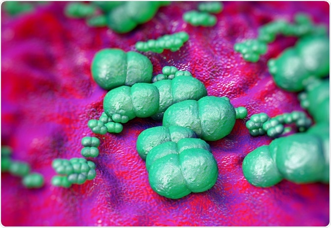 Staphylococcus epidermidis bacteria - Illustration Credit: Shutterstock