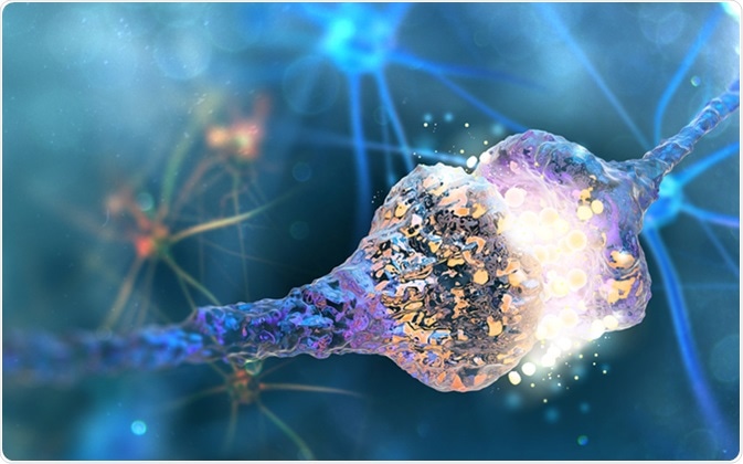 Synapse and Neuron cells sending electrical chemical signals (3D illustration) - Credit: Andrii Vodolazhskyi / Shutterstock