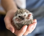 Hedgehogs connected to the outbreak of Salmonella