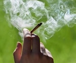 High potency cannabis use linked to psychosis finds study