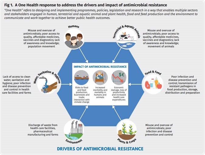 A One Health response to address the drivers and impact of antimicrobial resistance