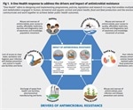 United Nations sounds alarm bell on drug-resistant infections