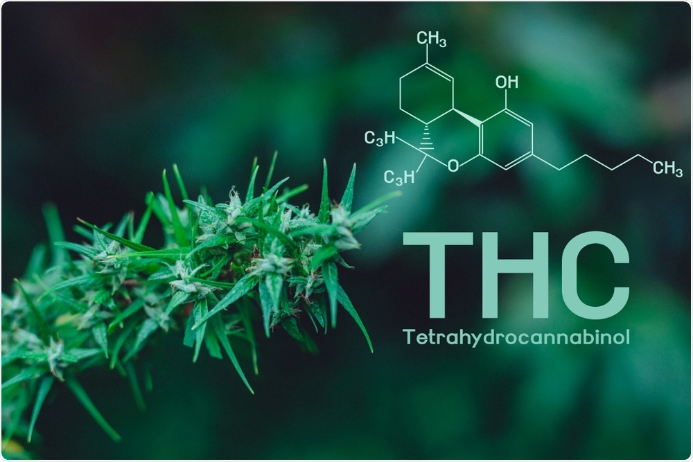 THC is the psychoactive ingredient in cannabis