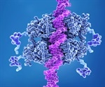 DNA Repair and Transcription: A Balancing Act