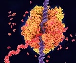 Non-Enzymatic RNA Primer Extension