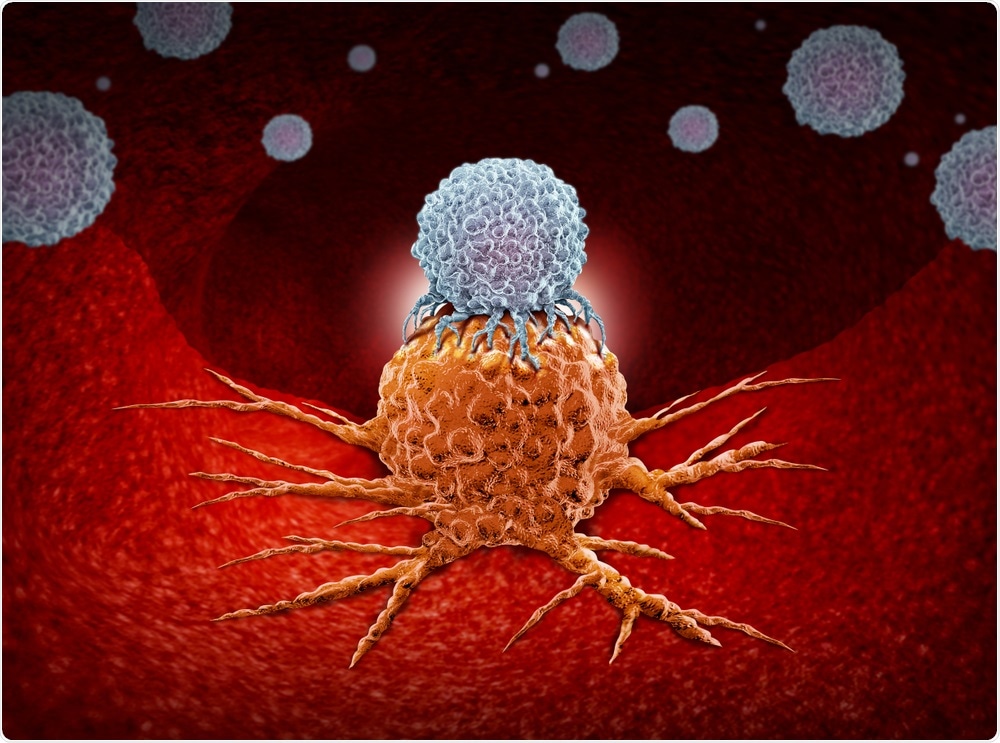 Immunotherapies work by re-training the immune system to identify and target cancer cells.