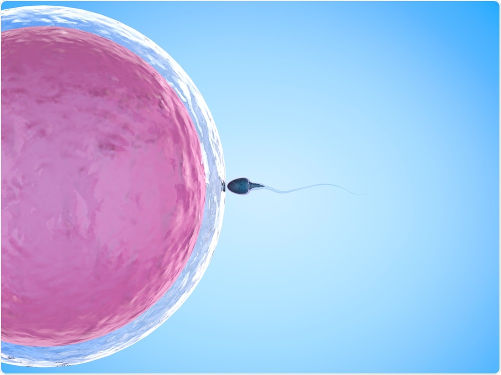 Many couples rely on IVF to have a baby