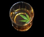 Alcohol, Cannabis and Other Drugs: A Pharmacological Evaluation