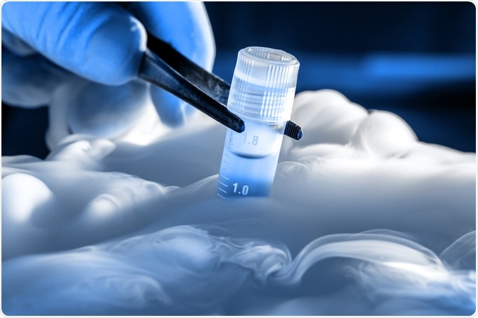 DNA is often stored in liquid nitrogen