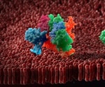 Structural Motifs in Protein Biology