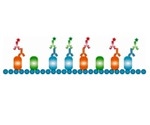 Bio-Rad launches new isotype-specific secondary antibodies