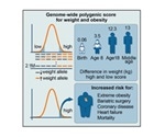 New scoring system based on genetic markers predicts obesity risk at birth